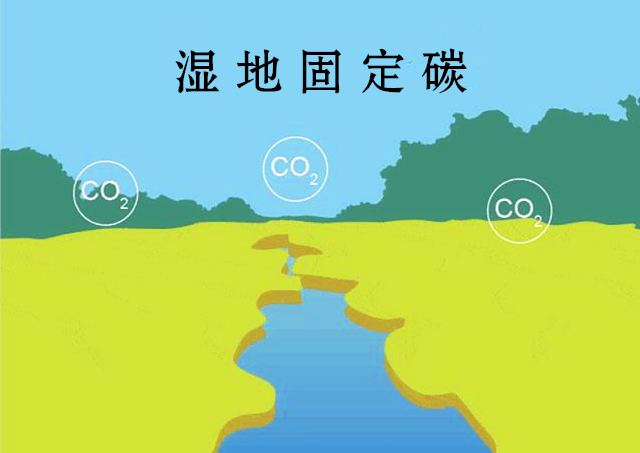 360截图20210120143723096_副本_副本.png 图片