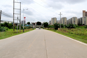 微实事3:城西庇厚村、龙边村周边道路旁增设绿植、篱笆,美化周边人居环境2_副本.jpg