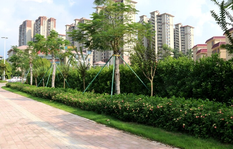 我为群众办实事 桩桩实事解民忧,台城街道全面完成10个“我为群众办实事”项目_9