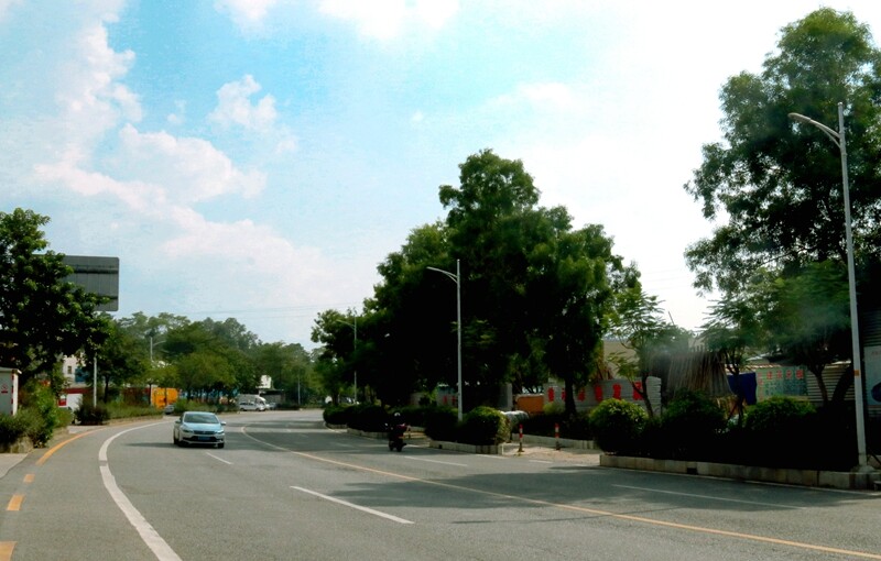 我为群众办实事 桩桩实事解民忧,台城街道全面完成10个“我为群众办实事”项目_10