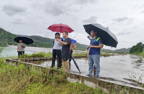 防洪蓄水双线告捷!台山水利交出2025年汛期答卷1484.png