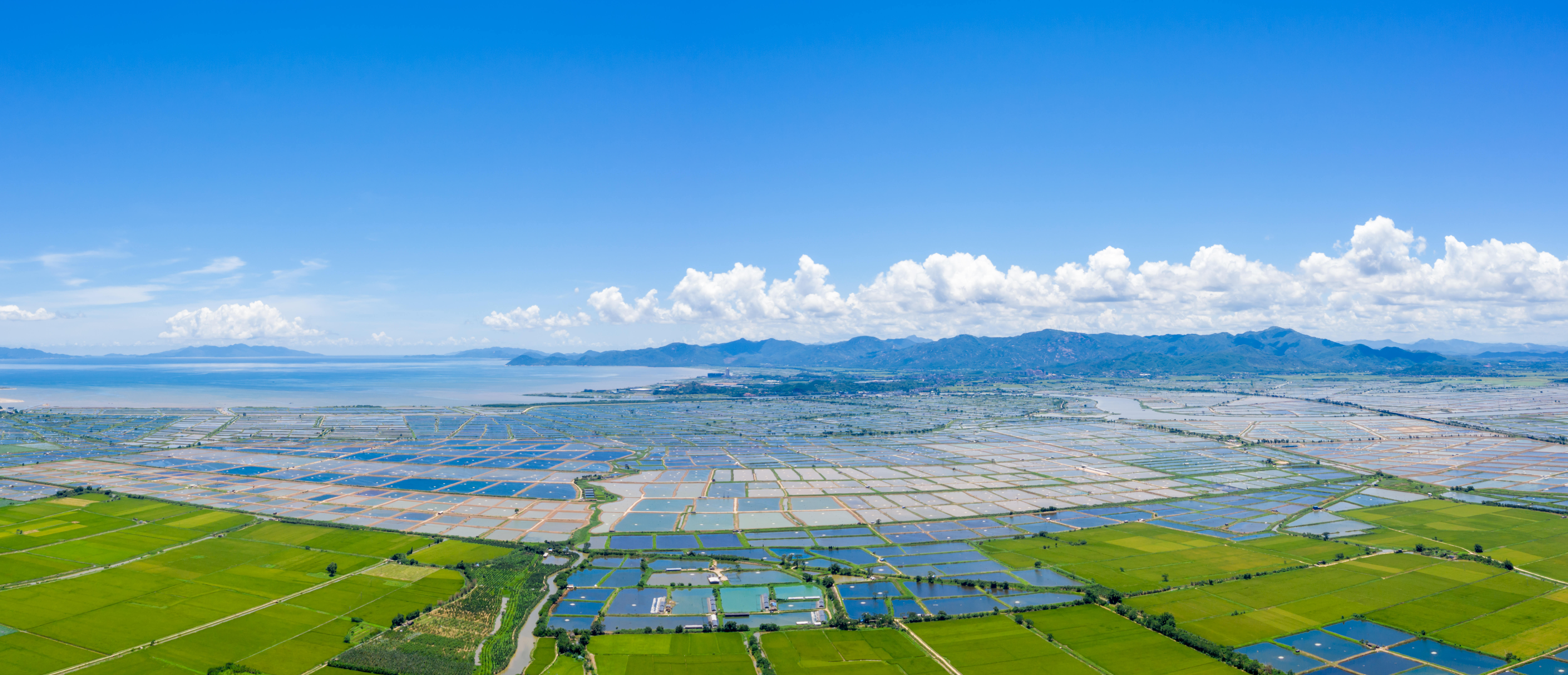 DJI_0867-Pano.jpg