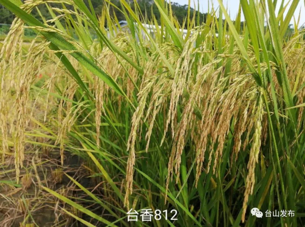 微信图片_20210923165005.jpg