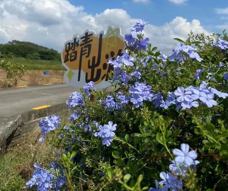 微信图片_20250328092218.jpg