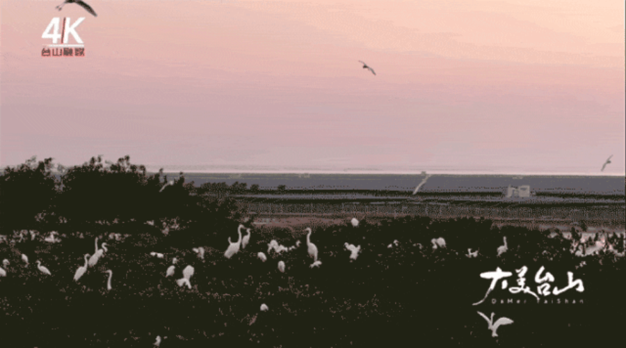 9.gif