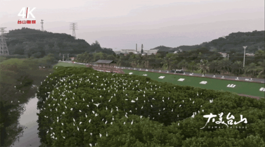 8.gif
