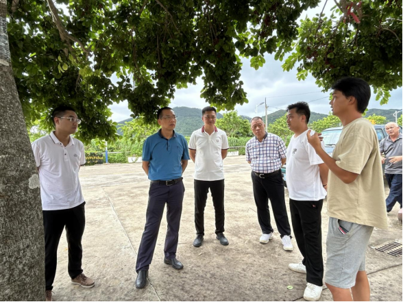 黄旭晖副市长调研群众身边不正之风和腐败问题整治工作659.png