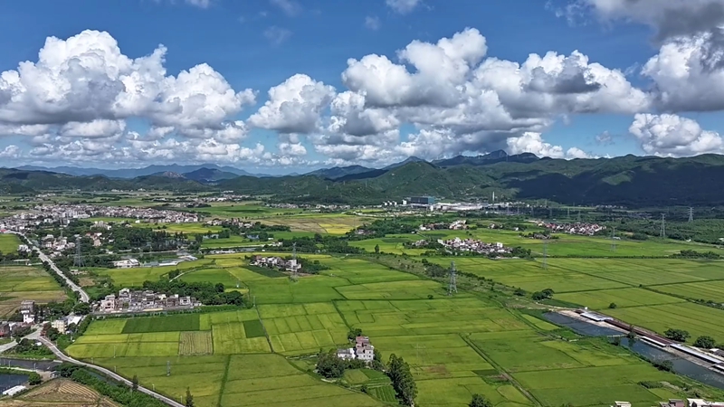 微信图片编辑_20250704084353.jpg